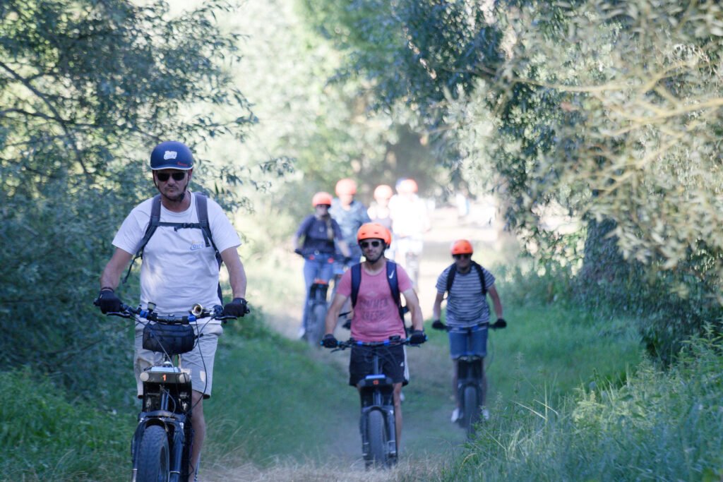 Balade en trottinette électrique tout terrain en forêt avec Trott'in Loire